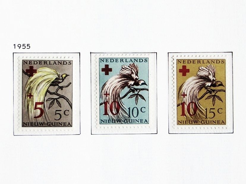 NG1955