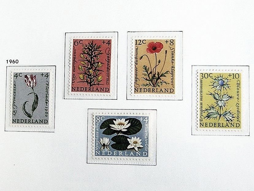 NL1960-2