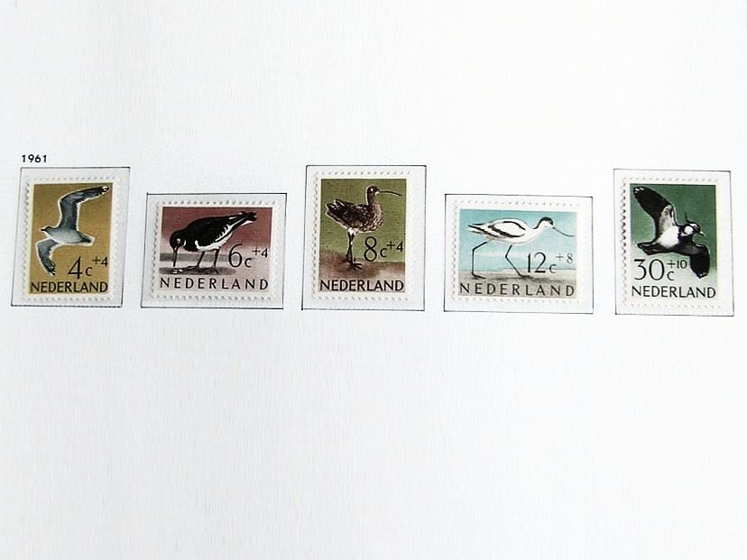 NL1961-1