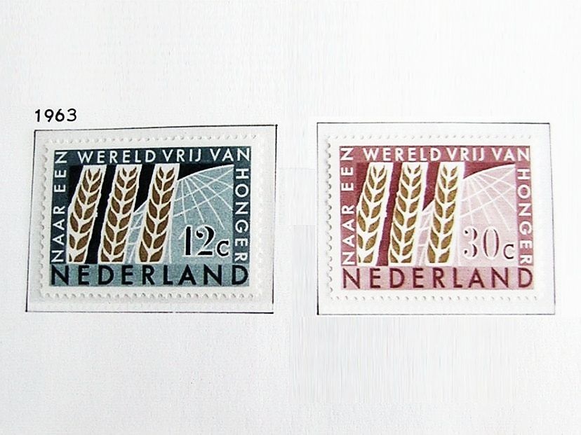 NL1963-1